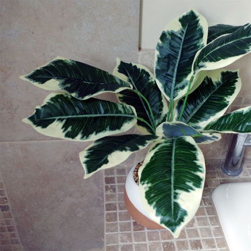 40cm Artificial Pothos Plant - Variegated Leaves with Cement Planter