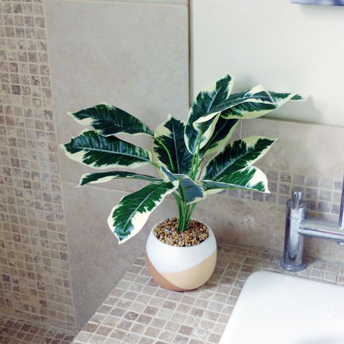 40cm Artificial Pothos Plant - Variegated Leaves with Cement Planter