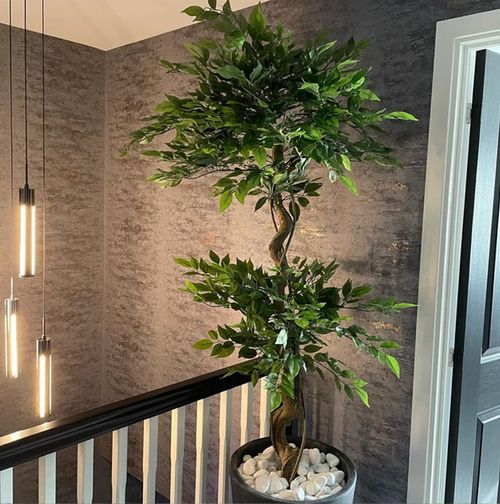 150cm Artificial Twisted Ficus Tree - Realistic Evergreen Plant