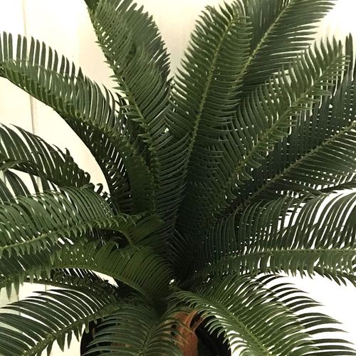 70cm Artificial Cycas Palm - Tropical Plant with Plastic Pot